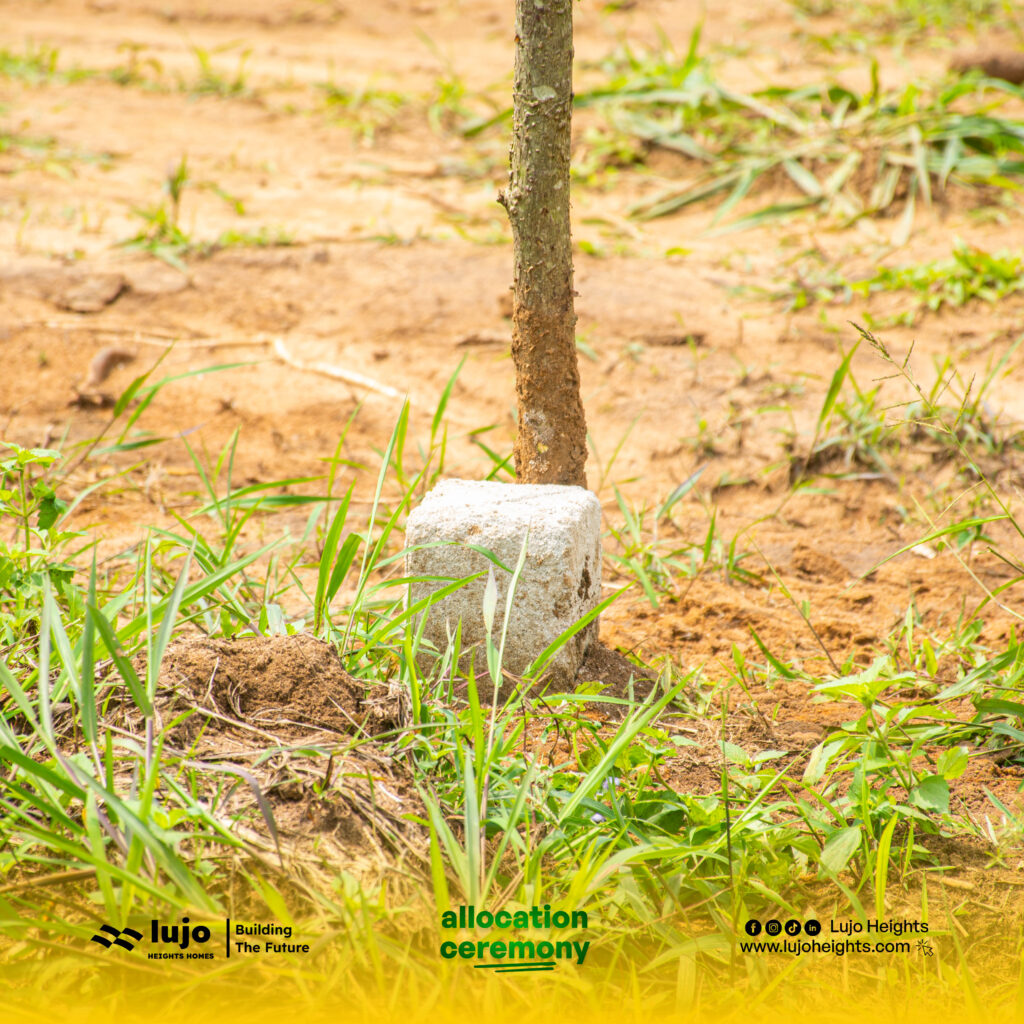 Introduction To Land Banking 2 DSC 0599